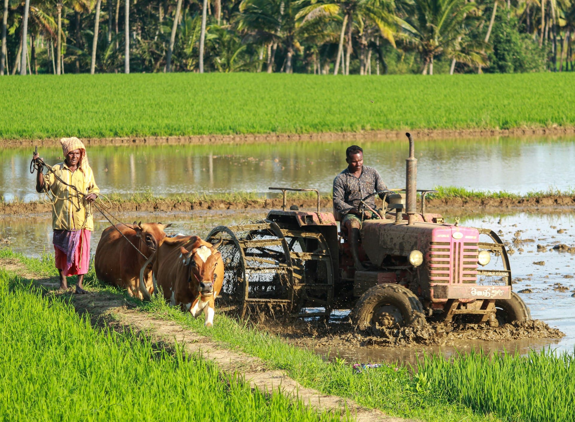 Field practical training at Shri Vitthal College of Agriculture